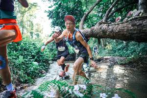 BIB: 
                            <button type="button" onclick="openModal(25436967)" class="btn btn-primary btn-sm float-right btn-popup" data-toggle="modal" data-target=".modal-high-quality">
                        <i class="fas fa-shopping-cart"></i> Add to Cart
                    </button>
                                            <button type="button" onclick="isThisMe(25436967, true)" class="btn btn-success btn-sm float-right btn-popup btn-isme hidden" data-toggle="tooltip" data-placement="bottom" title="นี่คือรูปของคุณใช่ไหม คลิกที่นี่เพื่อเอาเข้าอัลบั้ม">
                        <i class="fas fa-plus"></i> Add to album
                    </button>
                    <button type="button" onclick="isThisMe(25436967, false)" class="btn btn-warning btn-sm float-right btn-popup btn-isnotme hidden">
                        <i class="fas fa-ban"></i> Remove from album
                    </button>